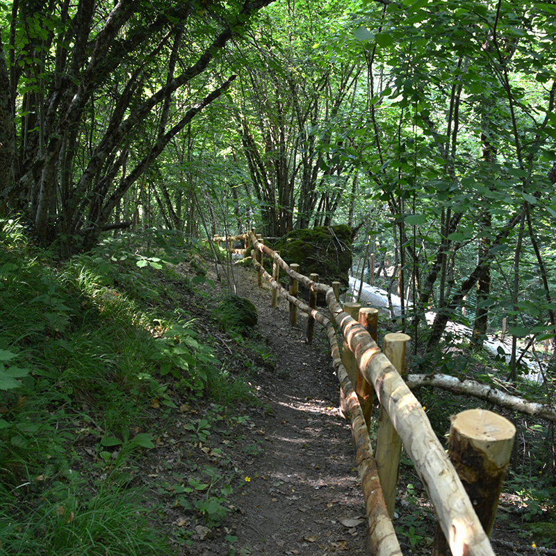 img_Foppiano_verso_il_mulino