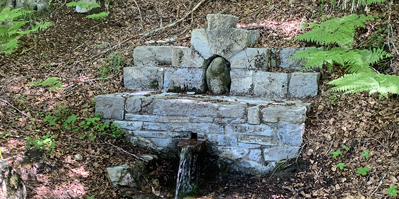 img_fontana_berneixe_oriz