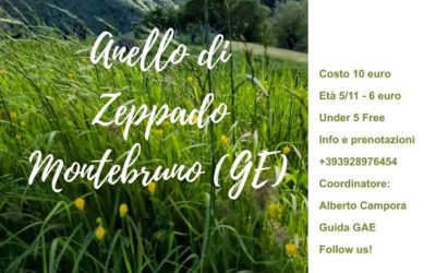 Anello di Zeppado / 15 giugno 2025