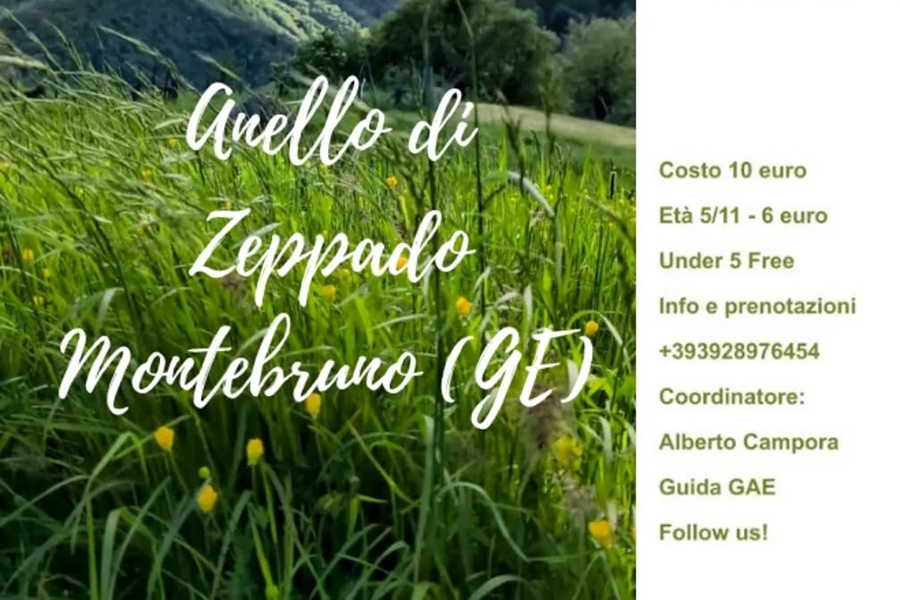 Anello di Zeppado / 15 giugno 2025